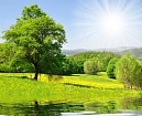 скачанные файлы (1).jpg